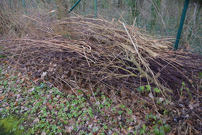 Ein Asthaufen im Garten